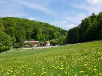 Reitlehrer*in / Pferdewirt*in Reiterhof Märchenmühle gesucht Bayern - Berg bei Neumarkt i.d.Opf. Vorschau