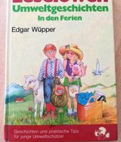 Buch Leselöwen Umweltgeschichten in den Ferien, Erstleser Baden-Württemberg - Sigmaringen Vorschau