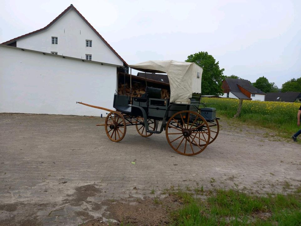 Kutsche  Jagdwagen in Bad Salzuflen