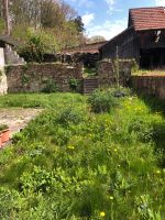 Gartenarbeit | Rasenarbeit | Unkraut entfernen Baden-Württemberg - Schefflenz Vorschau