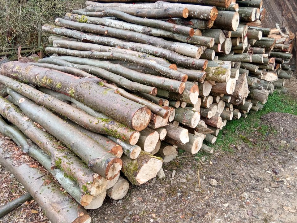 Brennholz Kaminholz aus Privater Nachhaltiger Forstwirtschaft in Bayerbach b Ergoldsbach