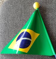Fahne Kinderfahrrad 180 cm neuwertig Brasilien grün/blau Sachsen - Hainewalde Vorschau