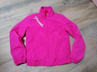 Puma Sportjacke 128 Sachsen - Oberlungwitz Vorschau