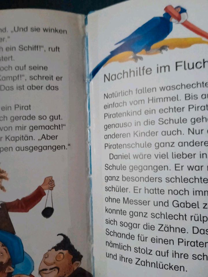 10 Leselöwen,... Tiger Fussball Kinder Bücher in Lichtenfels