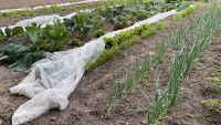 Mitmachgarten Gemeinschaftsgarten Nordrhein-Westfalen - Salzkotten Vorschau