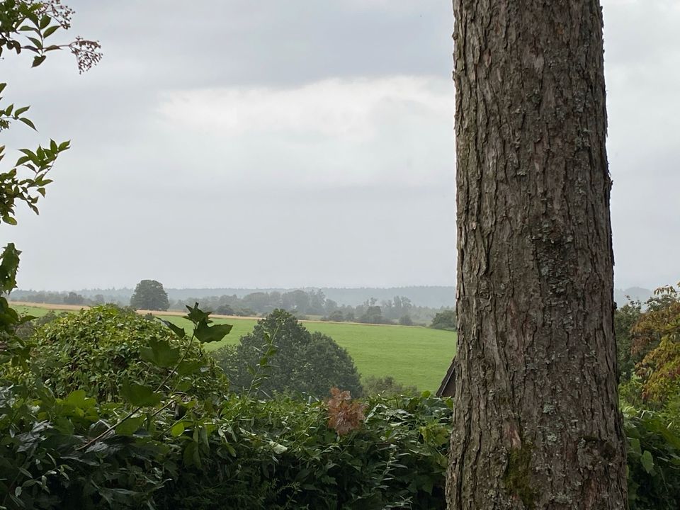 Baugrundstück Schollbrunn im Odenwald in Binau