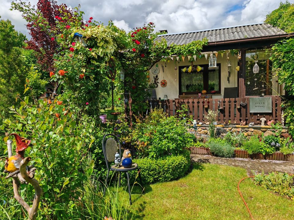 Der Sommer steht vor der Tür! Top-Gartenhaus mit Garten auf gesichertem Pachtland! in Eisenhüttenstadt