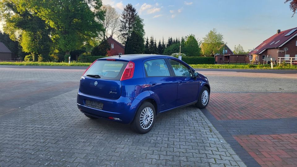 Fiat Punto / 1.4 / TÜV! in Ostrhauderfehn