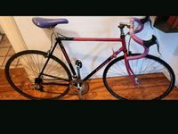 Rennrad Batavus Course Vintage RH 57 Kiel - Ravensberg-Brunswik-Düsternbrook Vorschau