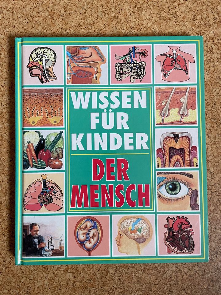 Wissen für Kinder: Der Mensch, Planet Medien in Brakel