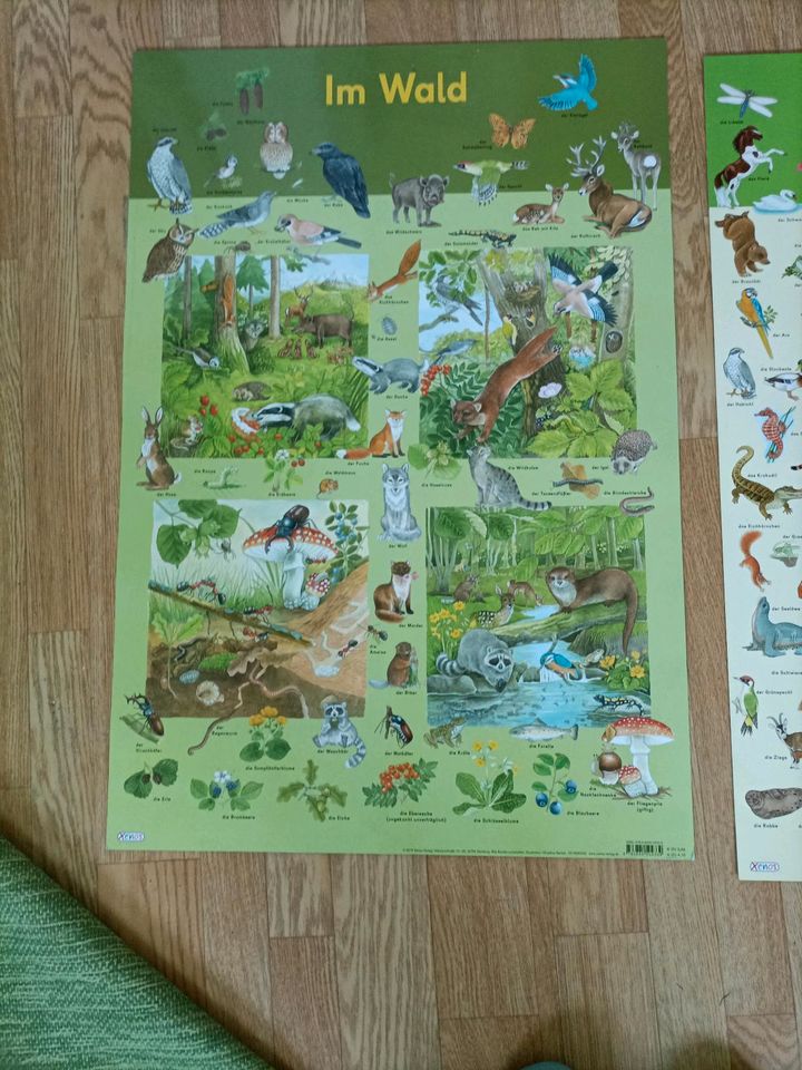 Zwei Wandbilder Poster Kinderzimmer Tier im Wald in Rostock
