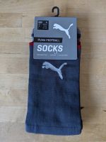 Puma Fußball Socken ftblNXT Socks Gr. 4 (43-46) Stutzen NEU Rheinland-Pfalz - Asbach Vorschau