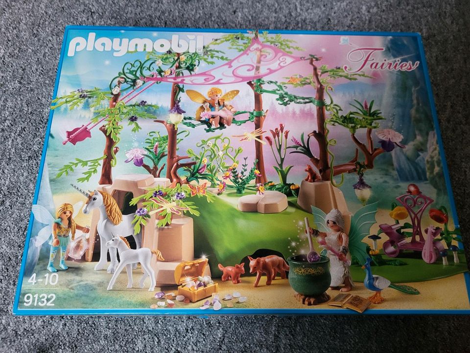 Playmobil Magischer Feenwald in Jöhstadt