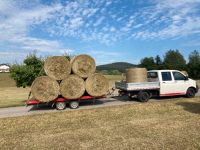 Wiese erster Schnitt Heu Bayern - Patersdorf Vorschau