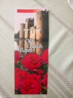 Old Englisch Roses Herzogtum Lauenburg - Berkenthin Vorschau