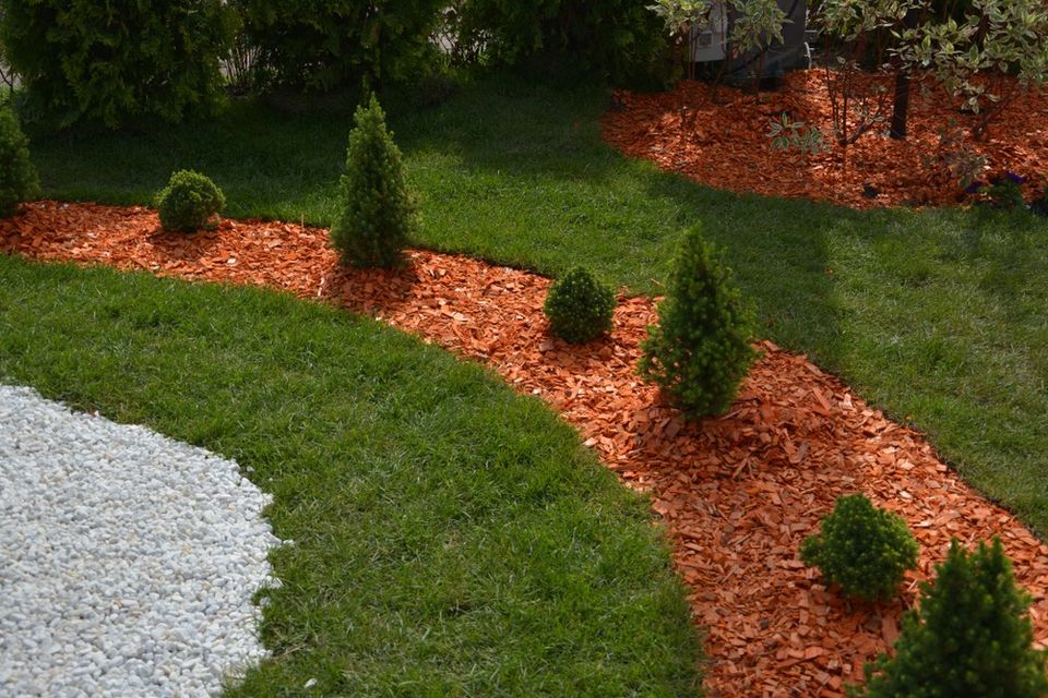 Bagger Arbeit Hecke Baum schneiden Garten Service Zaun Bau in Wetzlar