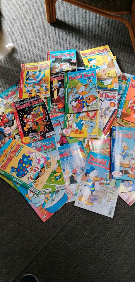 Walt Disney Comics + verschiedene andere in Königsbach-Stein 