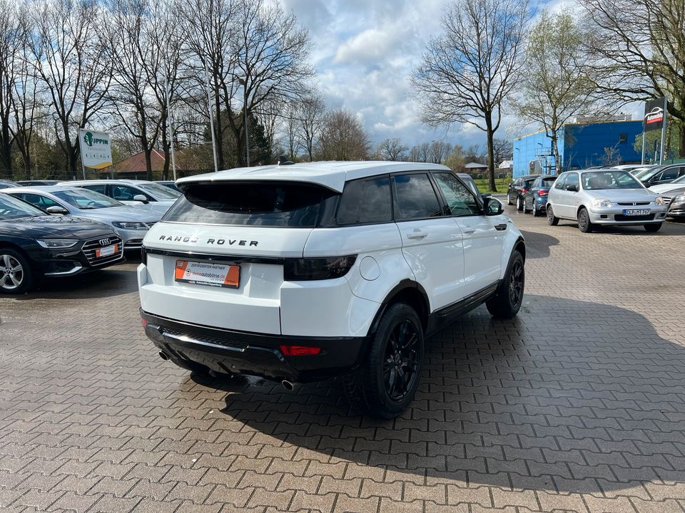 Land Rover Range Rover Evoque Pure / Inkl. 12 Monate Garantie in Cloppenburg