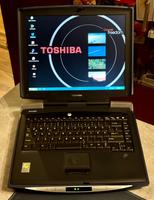 Toshiba 14 Zoll 1,70GHZ 100GB HDD 768MB RAM Windows XP CD Brenner Niedersachsen - Hildesheim Vorschau