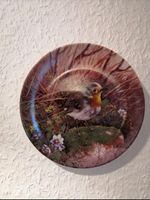 6 x Sammelteller Unsere kleine Vogelwelt Bradex Nordrhein-Westfalen - Hörstel Vorschau