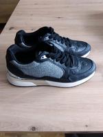 Guess Sneaker Moxea Hessen - Kaufungen Vorschau
