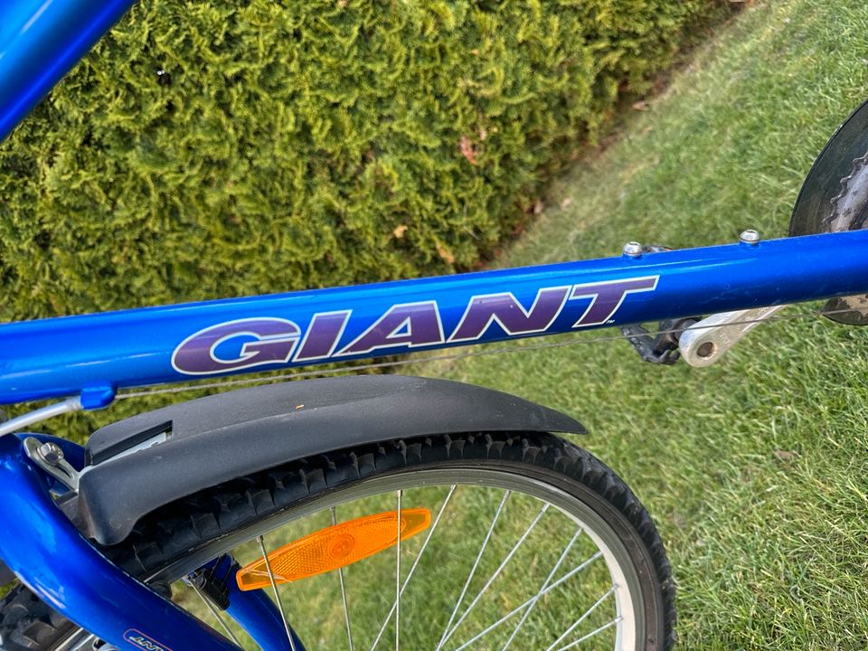 Fahrrad GIANT Boulder 510 in Berga/Elster