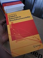 EcoMath 2 / Mathematik für Wirtschaftswissenschaftler Hamburg Barmbek - Hamburg Barmbek-Süd  Vorschau