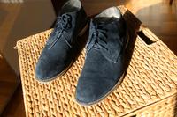 Herrenschuhe, Businessschuhe blau  Gr. 46 Sachsen-Anhalt - Petersberg (Saalekreis) Vorschau