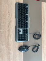 Gaming Maus + Tastatur RGB beleuchtet Top Sachsen-Anhalt - Salzwedel Vorschau