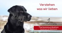 Basisseminar Tierkommunikation Bayern - Rieden a. Forggensee Vorschau