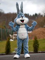 Verleihe Osterhase Maskottchen Kostüm Hase Bunny Nordrhein-Westfalen - Gummersbach Vorschau