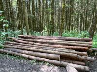 Holz Fichte, Stammholz, Brennholz Baden-Württemberg - Neuler Vorschau