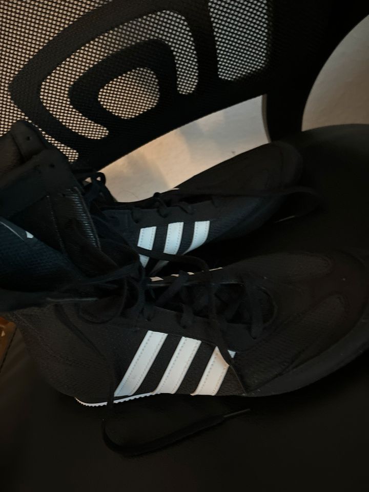 Adidas Boxschuhe 44 in Werdohl