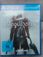 PS4 Spiel Game Bloodborne Brandenburg - Königs Wusterhausen Vorschau