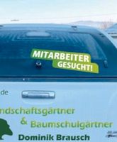 Mitarbeiter/Helfer gesucht Saarland - Schiffweiler Vorschau