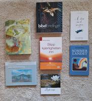 Christliche Bücher, Literatur in norwegischer Sprache Nordrhein-Westfalen - Lüdenscheid Vorschau