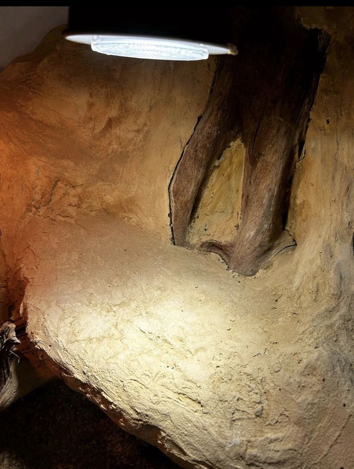 Wunderschönes Terrarium (Terra/Terraristik/Reptilien/Glasterra) in Hohenberg-Krusemark