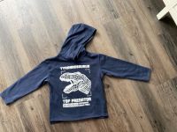 H&M Pullover Jungen Tyrannosaurus Gr. 122/128 Niedersachsen - Hemmingen Vorschau