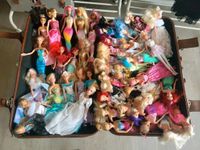 Komplette Barbie Sammlung inkl. Zubehör Hessen - Obertshausen Vorschau