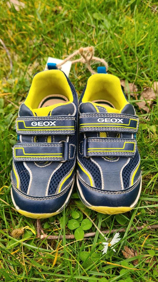 Geox Sneaker Gr.25 in Laubach
