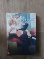 Mein heißer Mitbewohner,  yaoi, bl, manga, boys love Sachsen - Limbach-Oberfrohna Vorschau