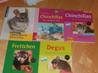 Tier Ratgeber  Kleintiere Chinchillas, Degus, Frettchen Bayern - Geltendorf Vorschau