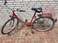 Damenfahrrad 28 Zoll von Camporello Nordrhein-Westfalen - Rahden Vorschau