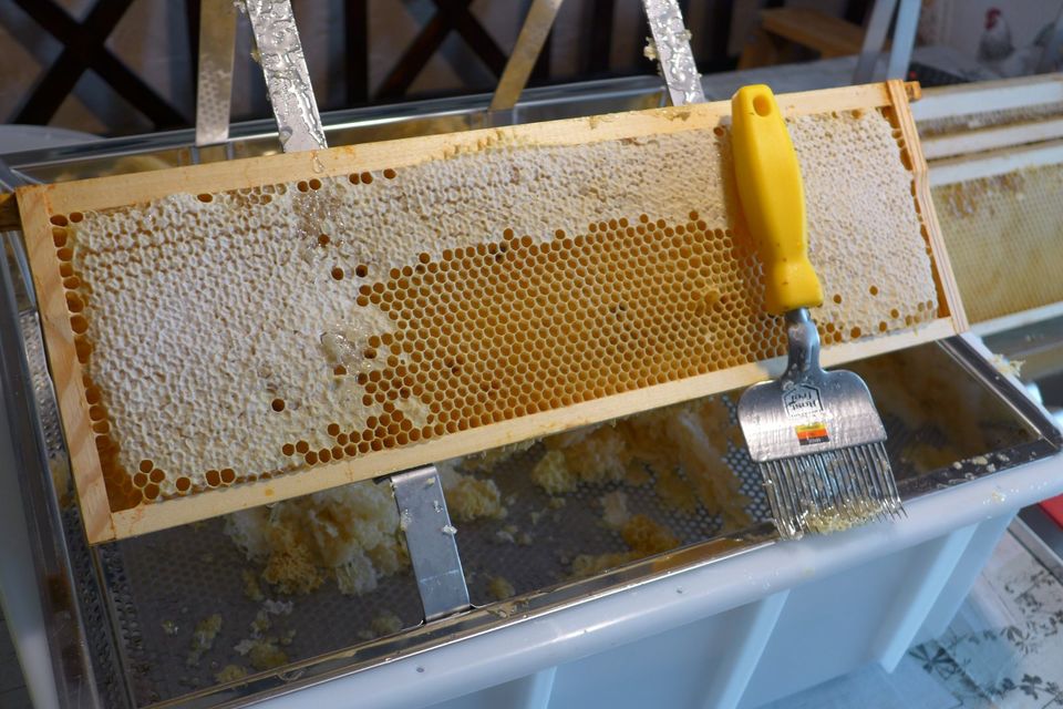 Bienenhonig aus eigener Imkerei - regional, naturbelassen in Barneberg