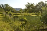 Weitläufiges Gartengrundstück im Westerwald zu verkaufen Hessen - Dornburg Vorschau
