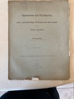 Cephalocoema u. Phylloscyrtus, zwei merkwürdige Orthopteren 1880 Bayern - Neusäß Vorschau