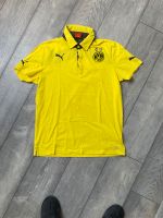 BVB Polo-Shirt Gr. M Sachsen - Wurzen Vorschau