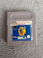 Nindendo Gameboy Asterix Spiel Baden-Württemberg - Uhldingen-Mühlhofen Vorschau