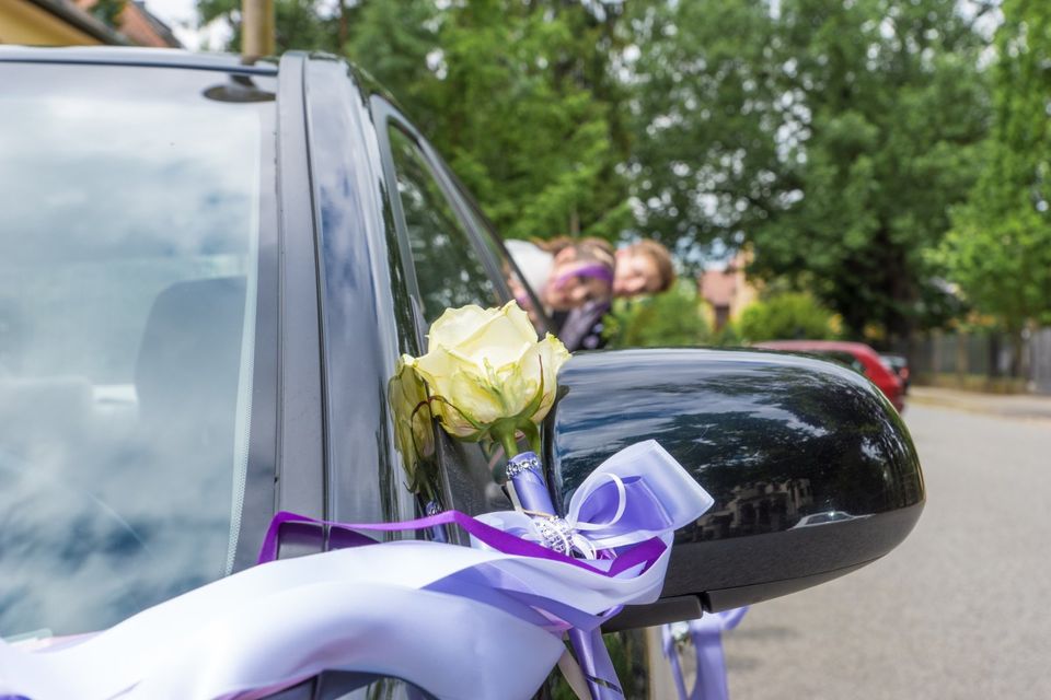 Hochzeitsfotografie - Familienfotografie - Hochzeitsfahrten in Dresden