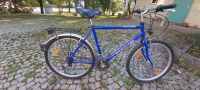 Gebrauchtes blaues Fahrrad Bayern - Bad Aibling Vorschau